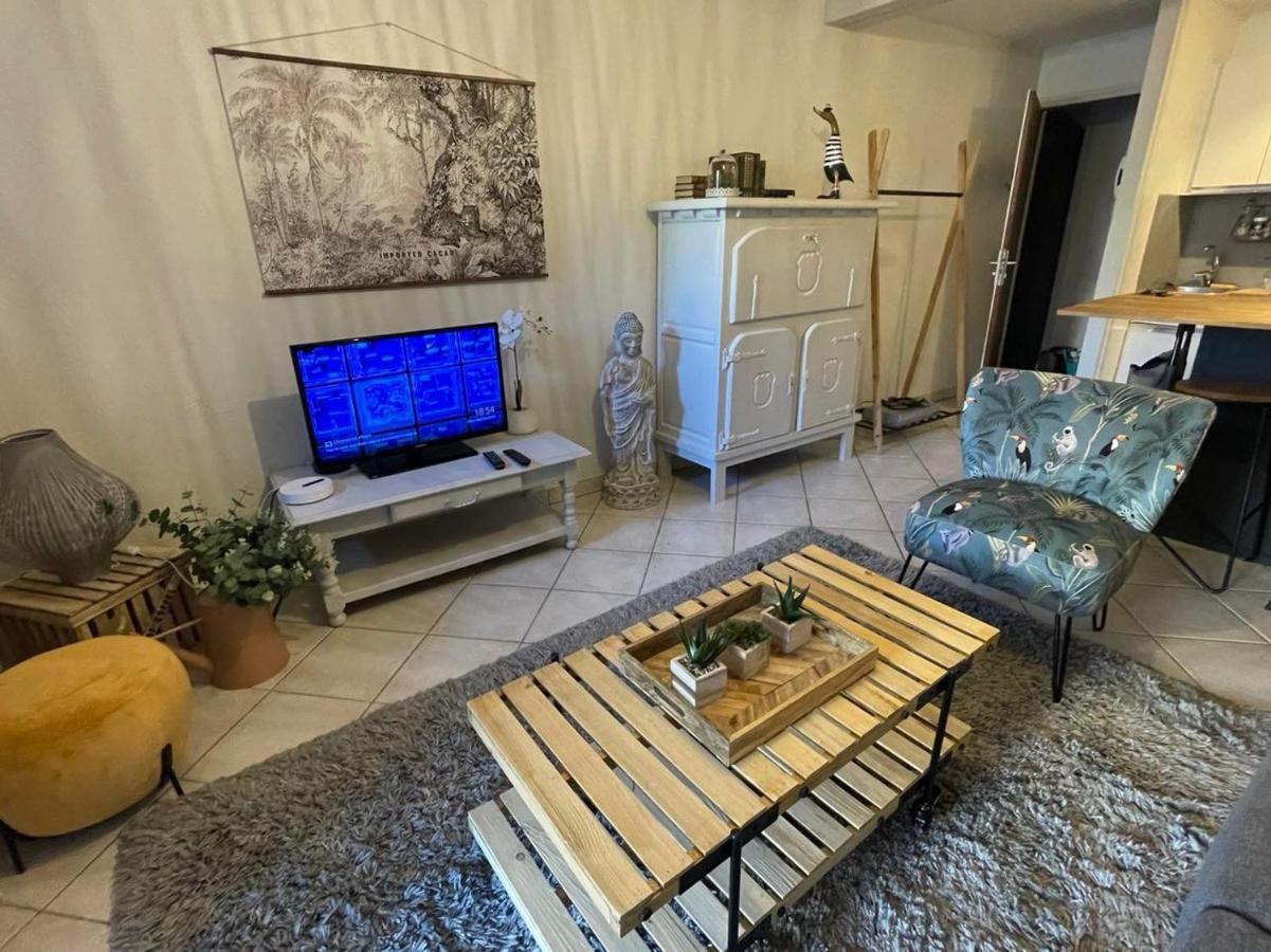 Le Patio, Coeur De Avec Garage Et Jardin Apartment Vannes